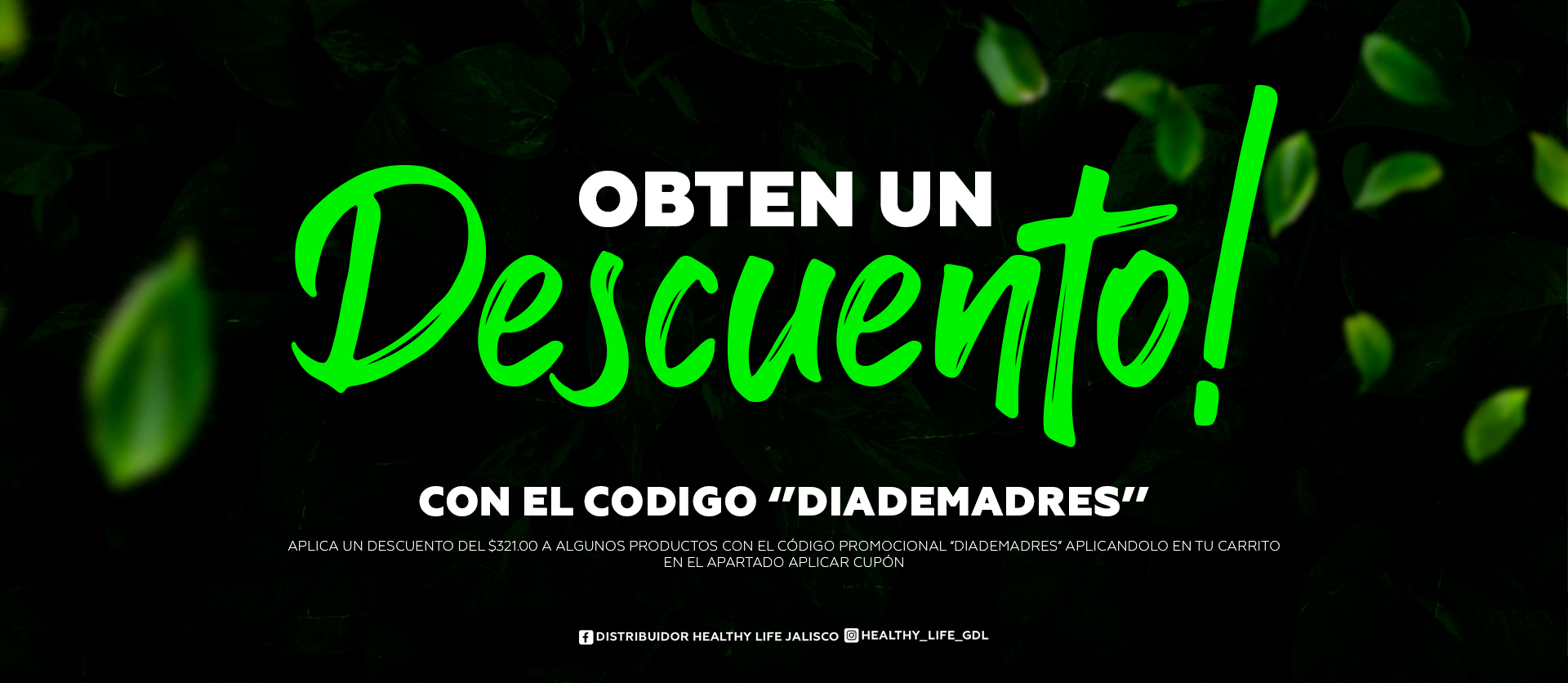 PROMO WEB2